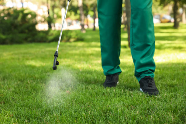 Best Affordable Pest Control Services  in Liberty, PA