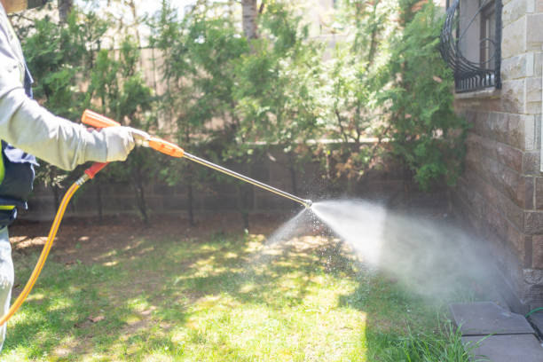 Bird Control in Liberty, PA