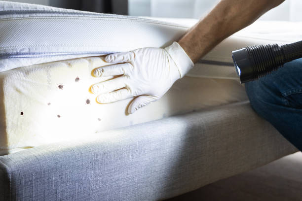 Best Pest Removal Services  in Liberty, PA